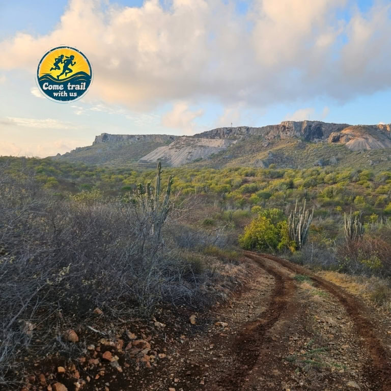 Monthly Trailrun